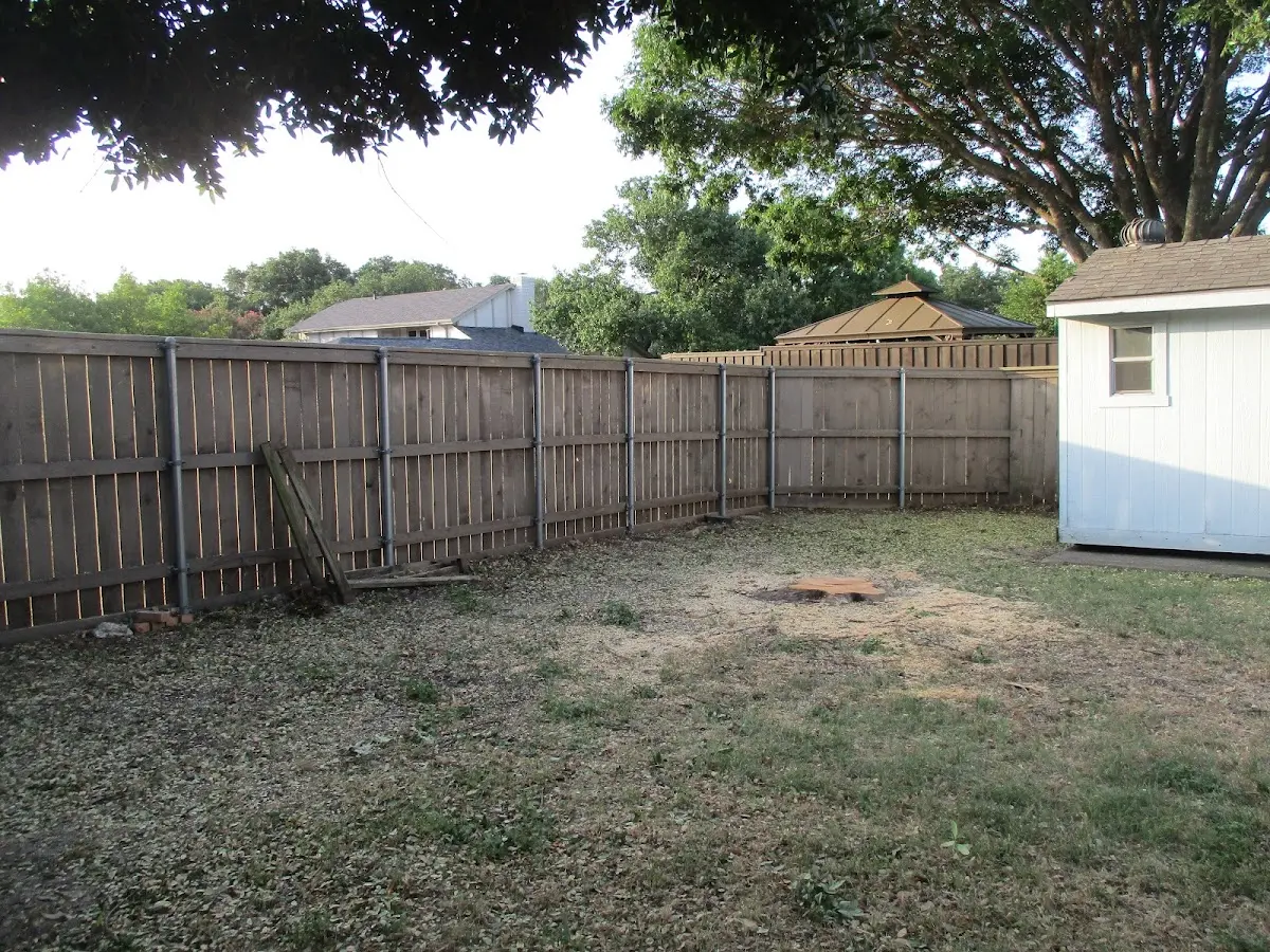 Cleared yard after professional tree removal in Sea Island
